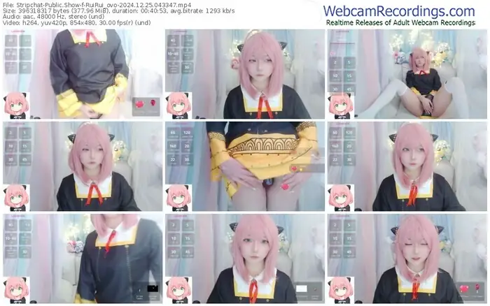 stripchat-ruirui_ovo-12-25-2024-04-33-47