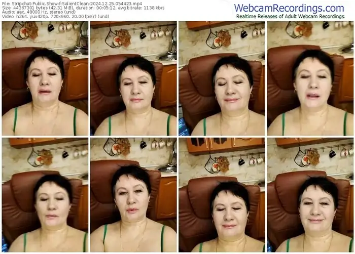 stripchat-salientclean-12-25-2024-05-44-23