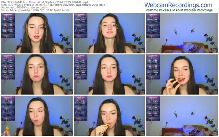 stripchat-wild_sophie_-12-25-2024-20-01-41