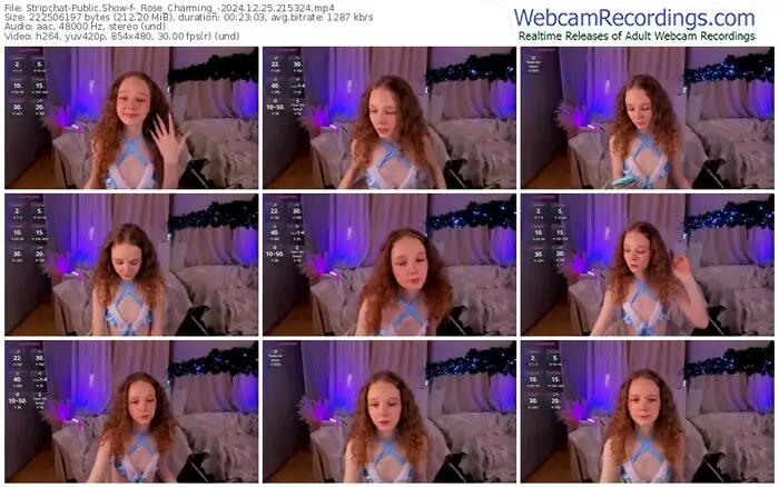 stripchat-_rose_charming_-12-25-2024-21-53-24