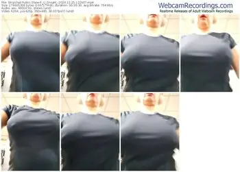 stripchat-_u_dream_-12-25-2024-12-26-07