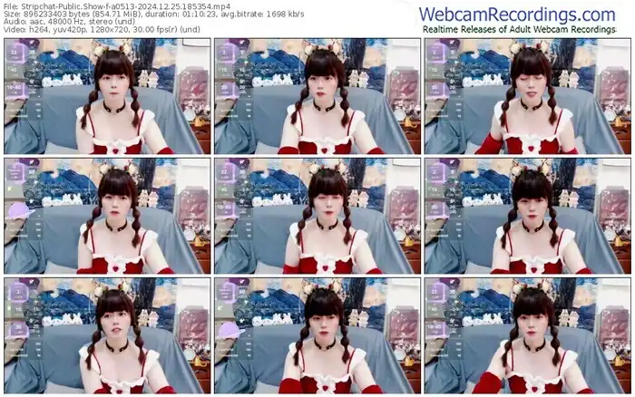 stripchat-a0513-12-25-2024-18-53-54