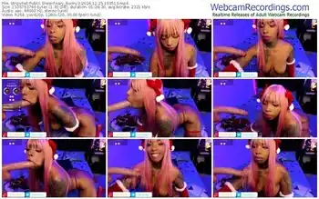 stripchat-kary_bunny3-12-25-2024-10-35-13