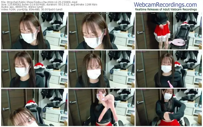 stripchat-kobu-cha-12-25-2024-15-38-01