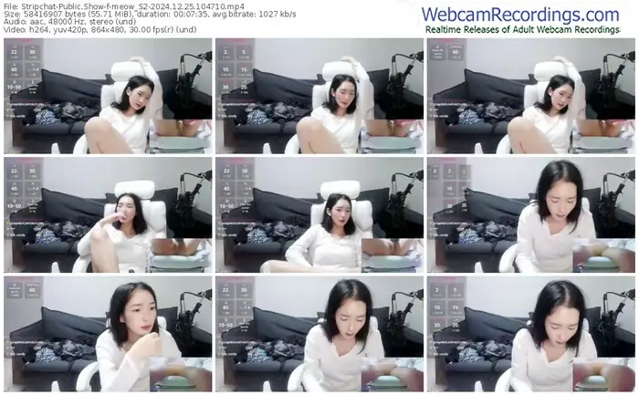 stripchat-meow_s2-12-25-2024-10-47-10