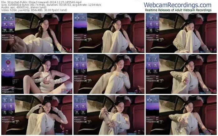 stripchat-newwell-12-25-2024-18-55-46