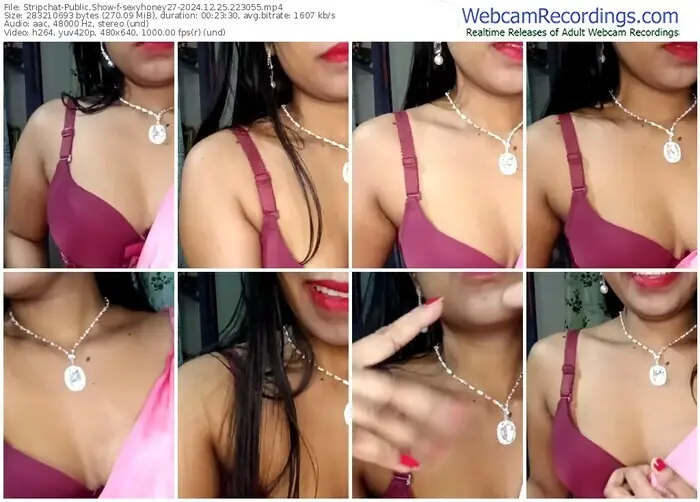 stripchat-sexyhoney27-12-25-2024-22-30-55