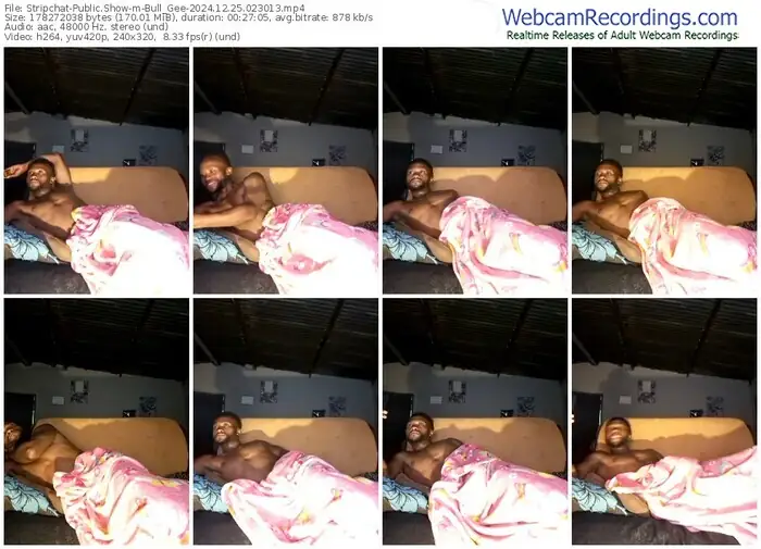 stripchat-bull_gee-12-25-2024-02-30-13