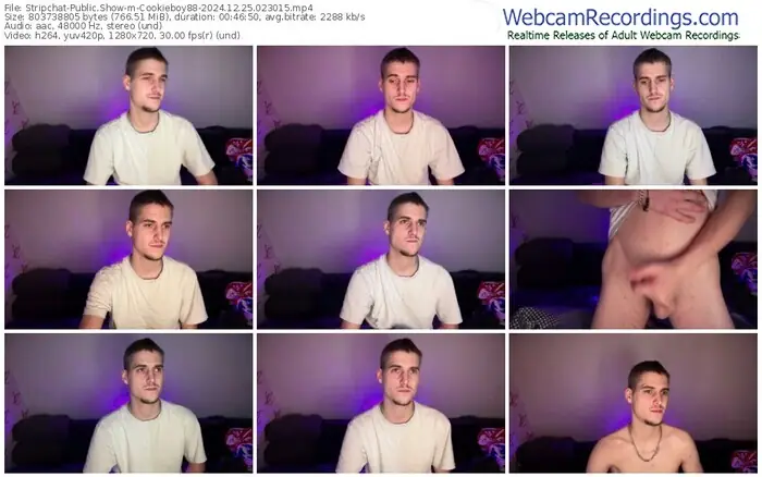 stripchat-cookieboy88-12-25-2024-02-30-15