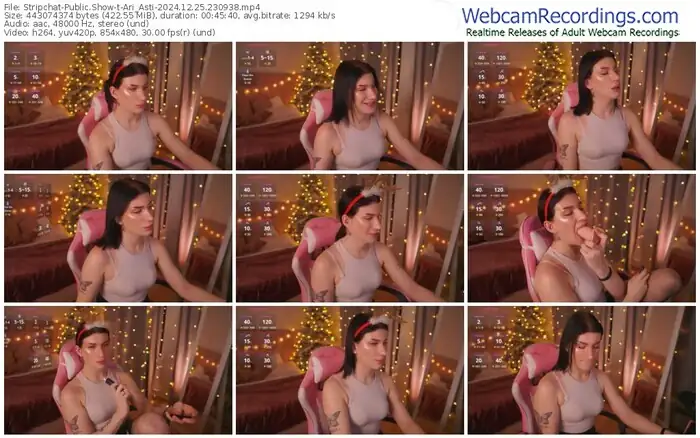 stripchat-ari_asti-12-25-2024-23-09-38