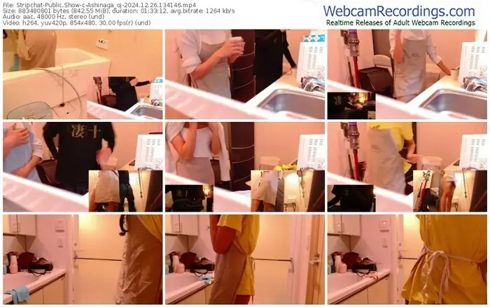 stripchat-ashinaga_oj-12-26-2024-13-41-46