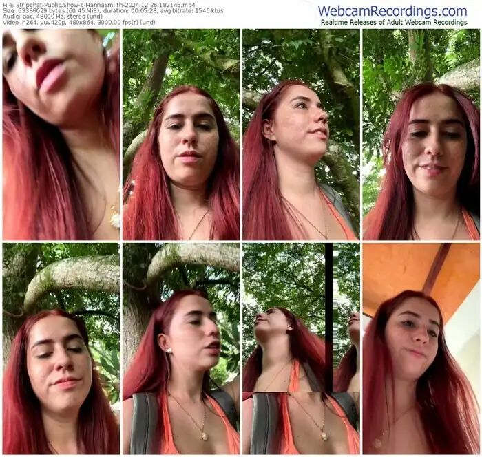 stripchat-hannasmiith-12-26-2024-18-21-46