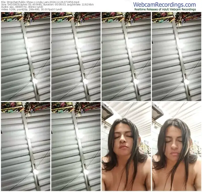 stripchat-linda_lars-12-26-2024-07-24-56