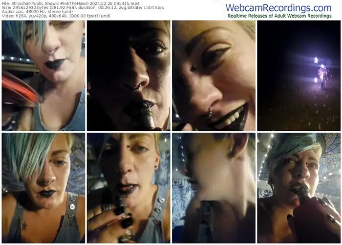 stripchat-pinkthehawk-12-26-2024-09-14-15