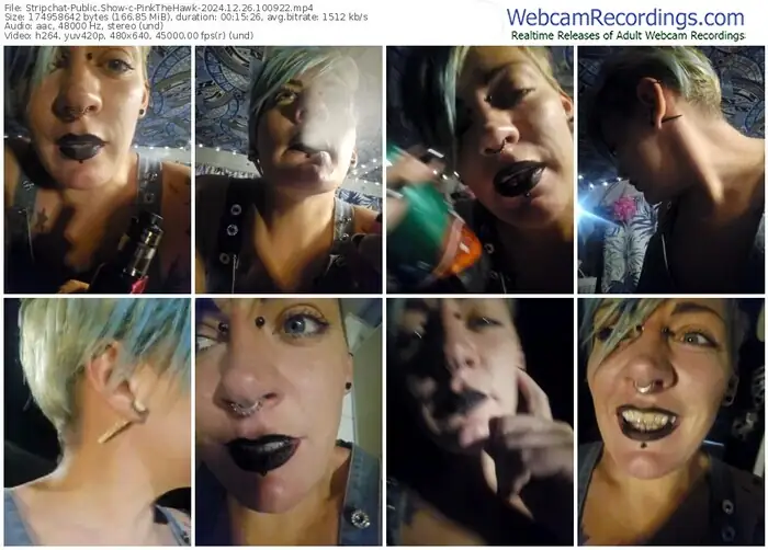 stripchat-pinkthehawk-12-26-2024-10-09-22