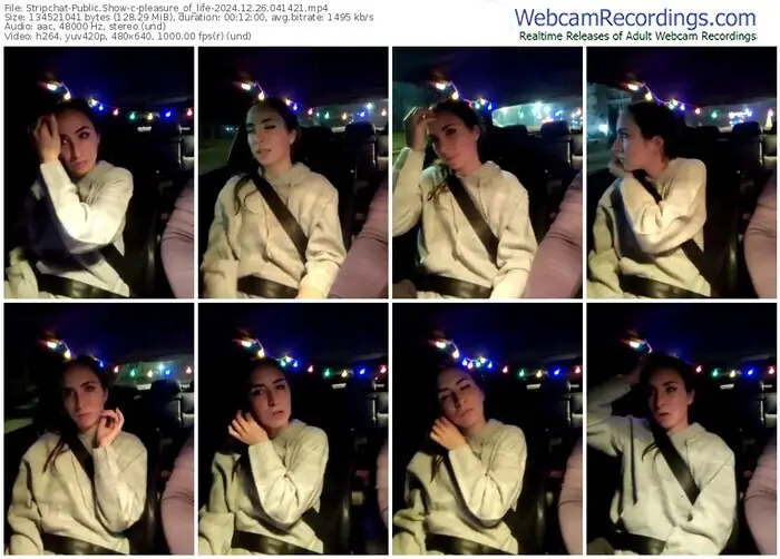 stripchat-pleasure_of_life-12-26-2024-04-14-21