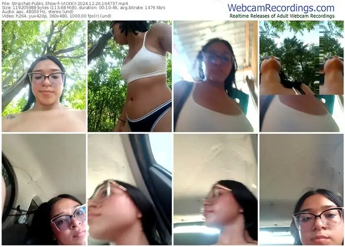 stripchat--vickky-12-26-2024-16-47-37