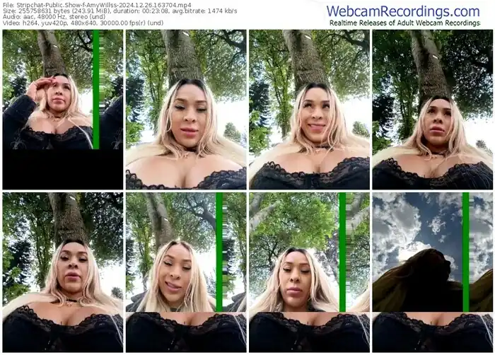 stripchat-amywillss-12-26-2024-16-37-04