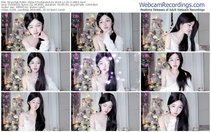 stripchat-duduludululu-12-26-2024-11-48-43