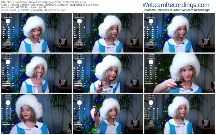 stripchat-edlinhargus-12-26-2024-02-27-48