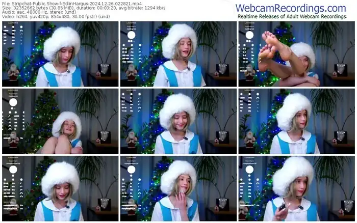 stripchat-edlinhargus-12-26-2024-02-28-21