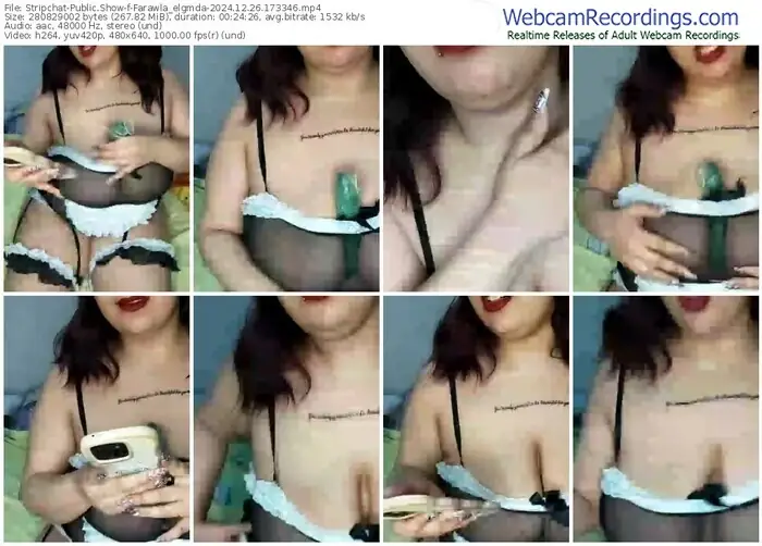 stripchat-farawla_elgmda-12-26-2024-17-33-46