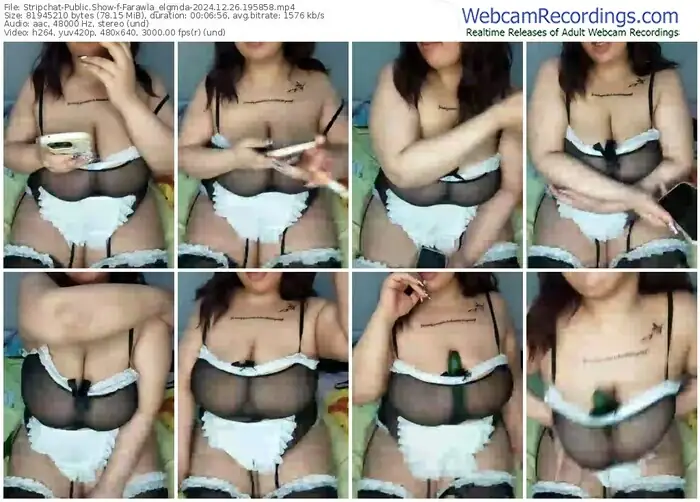 stripchat-farawla_elgmda-12-26-2024-19-58-58