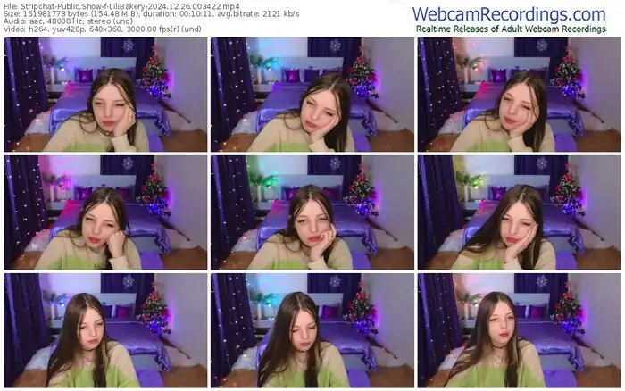 stripchat-lilibakery-12-26-2024-00-34-22