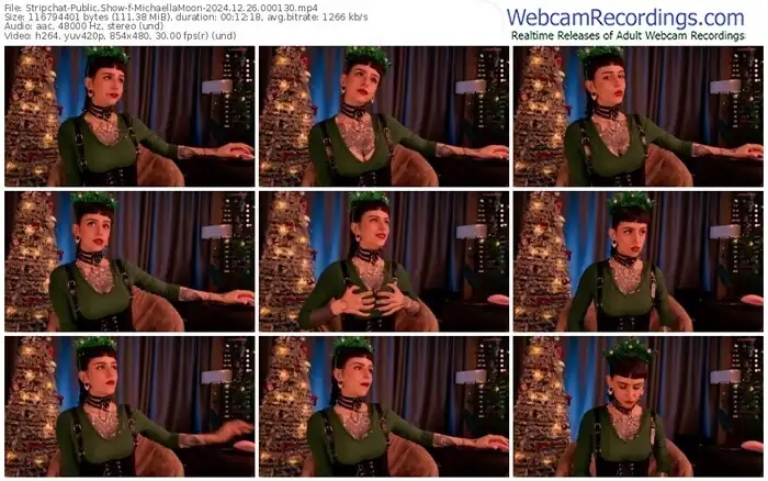 stripchat-michaellamoon-12-26-2024-00-01-30