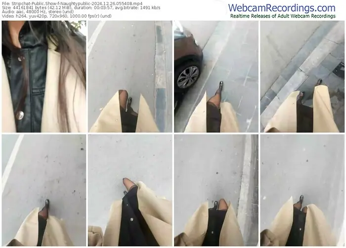 stripchat-naughtypublic-12-26-2024-05-54-08