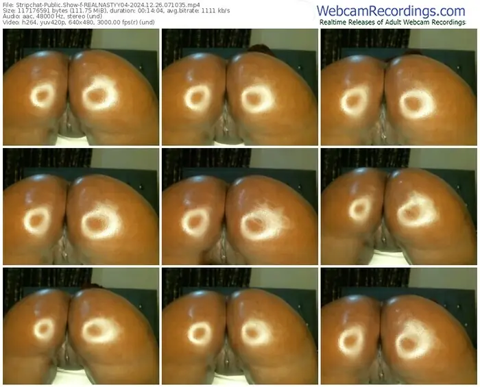stripchat-realnastyy04-12-26-2024-07-10-35