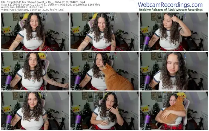 stripchat-sweet_sully__-12-26-2024-20-40-01