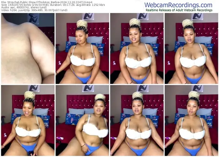 stripchat-thickass_barbie-12-26-2024-22-47-10