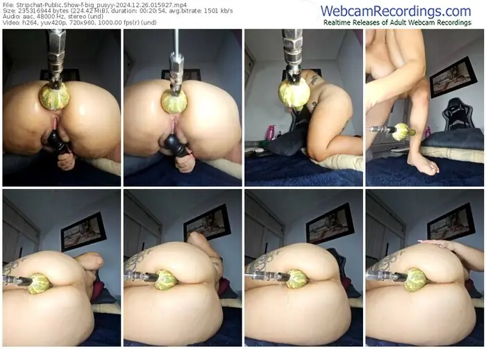 stripchat-big_pusyy-12-26-2024-01-59-27