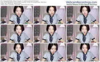 stripchat-dream-77-12-26-2024-02-52-59