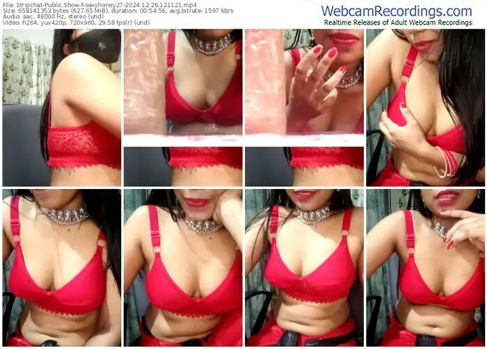 stripchat-sexyhoney27-12-26-2024-12-11-21