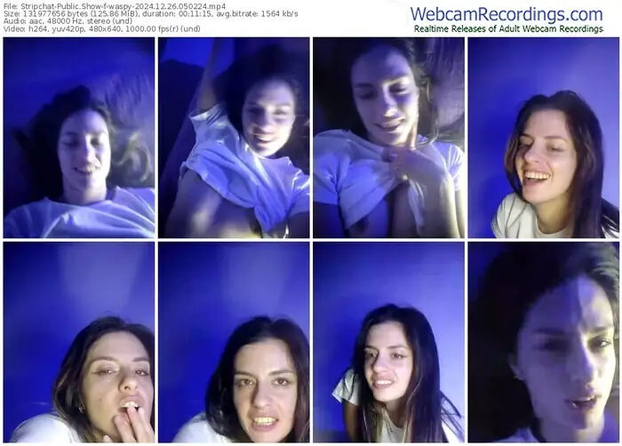 stripchat-waspy-12-26-2024-05-02-24