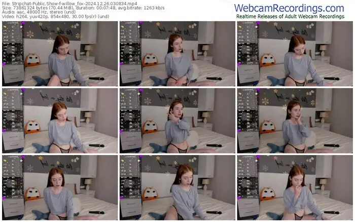 stripchat-willow_fox-12-26-2024-03-08-34