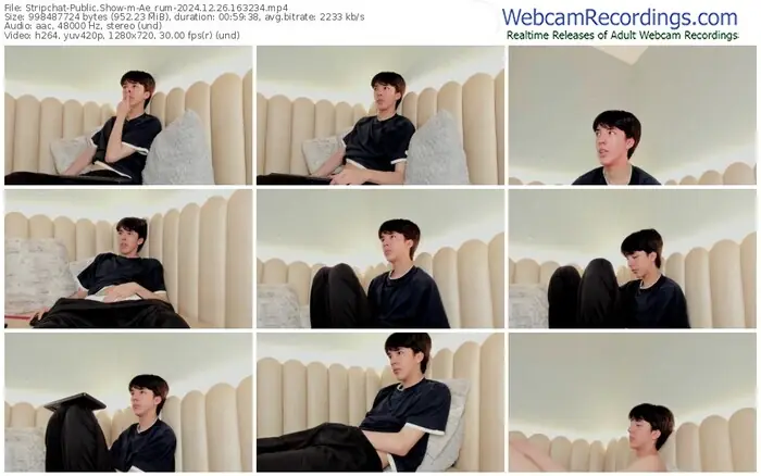 stripchat-ae_rum-12-26-2024-16-32-34