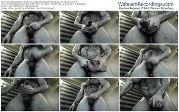 stripchat-hugealphabeast-12-26-2024-18-17-02