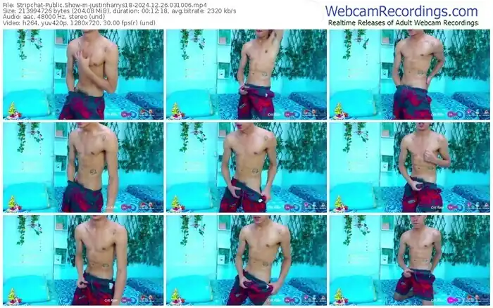 stripchat-justinharrys18-12-26-2024-03-10-06