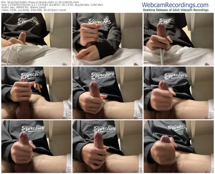 stripchat-lkun9-12-26-2024-03-40-25