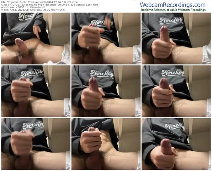 stripchat-lkun9-12-26-2024-03-41-21