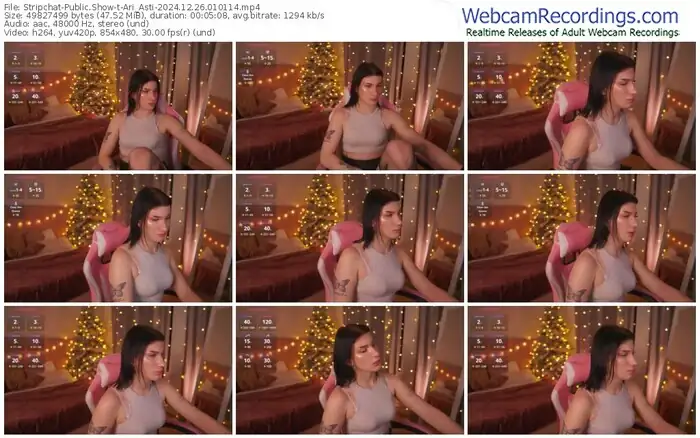 stripchat-ari_asti-12-26-2024-01-01-14