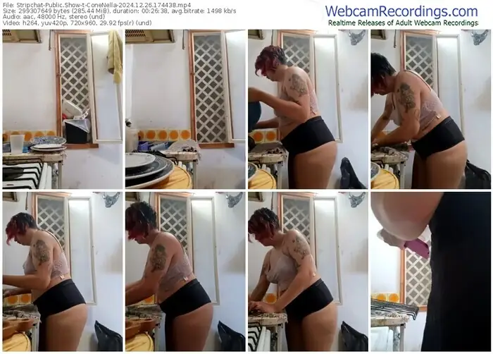 stripchat-conenella-12-26-2024-17-44-38