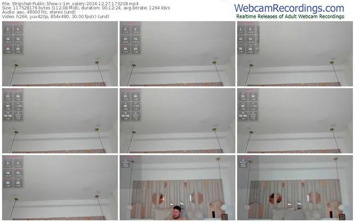 stripchat-1m_valery-12-27-2024-17-32-08