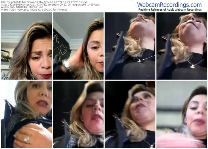 stripchat-cata_office-12-12-27-2024-23-20-18