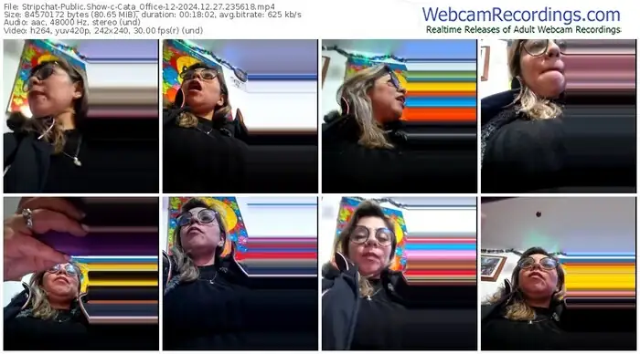 stripchat-cata_office-12-12-27-2024-23-56-18