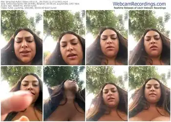 stripchat-dulce__26-12-27-2024-12-34-11