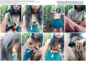 stripchat-danna-linyi-12-27-2024-18-19-21